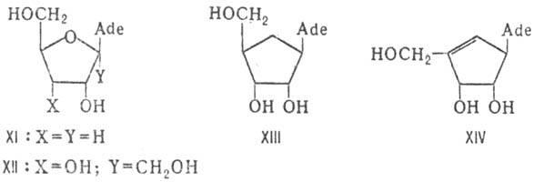 https://www.pora.ru/image/encyclopedia/3/2/6/9326.jpeg