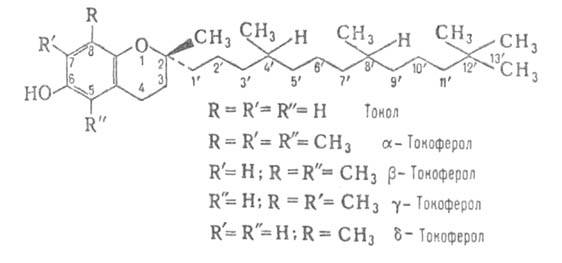 https://www.pora.ru/image/encyclopedia/3/2/8/4328.jpeg