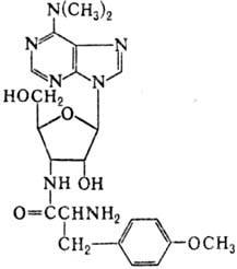 https://www.pora.ru/image/encyclopedia/3/2/8/9328.jpeg