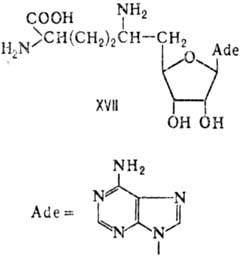 https://www.pora.ru/image/encyclopedia/3/2/9/9329.jpeg