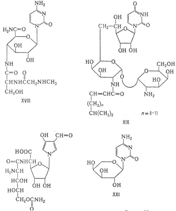 https://www.pora.ru/image/encyclopedia/3/3/0/9330.jpeg