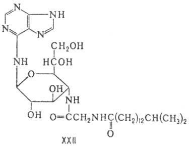 https://www.pora.ru/image/encyclopedia/3/3/1/9331.jpeg