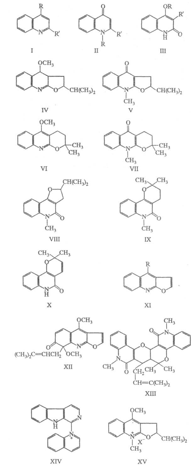 https://www.pora.ru/image/encyclopedia/3/3/2/16332.jpeg