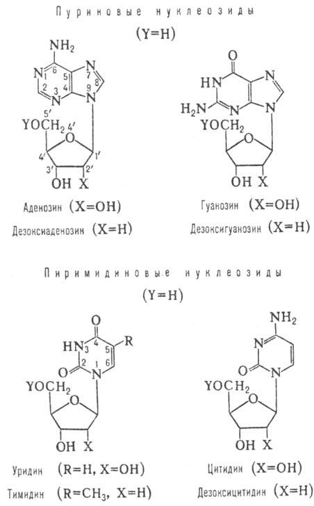 https://www.pora.ru/image/encyclopedia/3/3/2/9332.jpeg