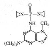 https://www.pora.ru/image/encyclopedia/3/3/7/15337.jpeg