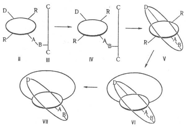 https://www.pora.ru/image/encyclopedia/3/4/0/7340.jpeg