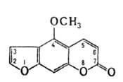 https://www.pora.ru/image/encyclopedia/3/4/1/3341.jpeg