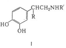 https://www.pora.ru/image/encyclopedia/3/4/1/7341.jpeg