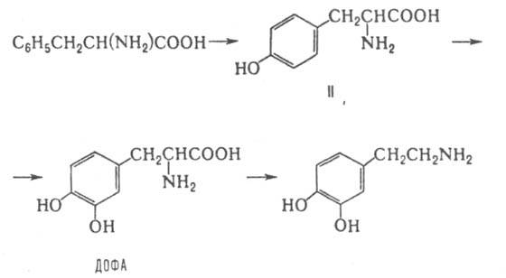 https://www.pora.ru/image/encyclopedia/3/4/2/7342.jpeg