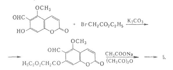 https://www.pora.ru/image/encyclopedia/3/4/3/3343.jpeg