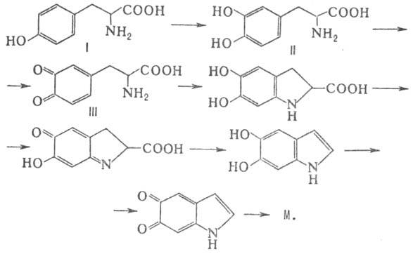 https://www.pora.ru/image/encyclopedia/3/5/2/8352.jpeg