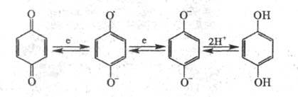 https://www.pora.ru/image/encyclopedia/3/5/5/16355.jpeg