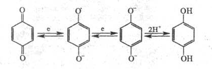 https://www.pora.ru/image/encyclopedia/3/5/5/16355.jpeg