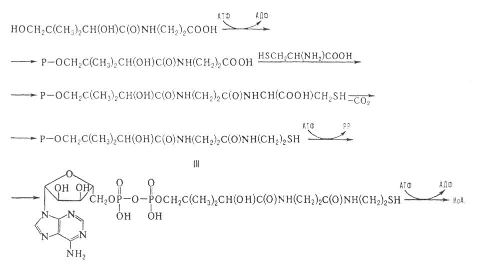 https://www.pora.ru/image/encyclopedia/3/6/2/10362.jpeg