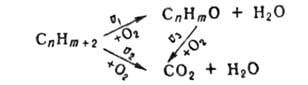 https://www.pora.ru/image/encyclopedia/3/6/5/5365.jpeg