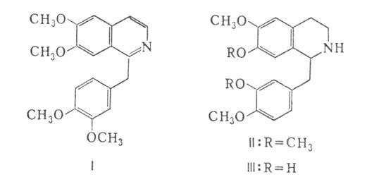 https://www.pora.ru/image/encyclopedia/3/6/6/10366.jpeg