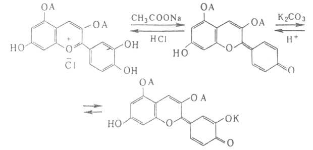 https://www.pora.ru/image/encyclopedia/3/6/9/2369.jpeg