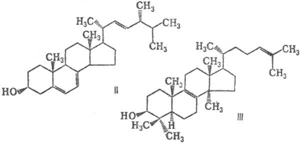 https://www.pora.ru/image/encyclopedia/3/7/1/13371.jpeg