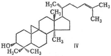 https://www.pora.ru/image/encyclopedia/3/7/3/13373.jpeg