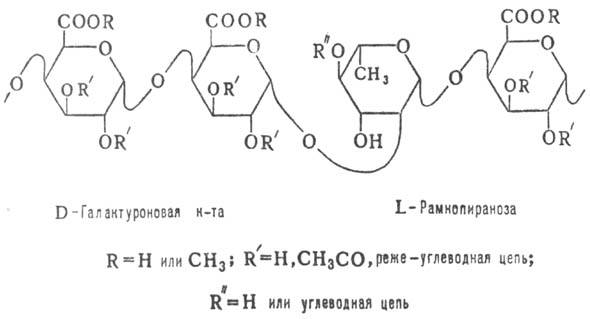 https://www.pora.ru/image/encyclopedia/3/9/1/10391.jpeg