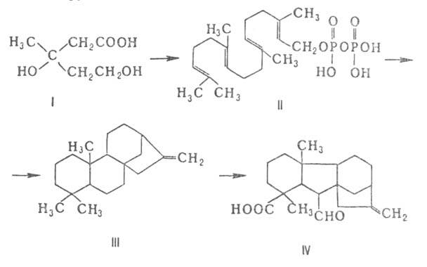 https://www.pora.ru/image/encyclopedia/4/0/4/5404.jpeg