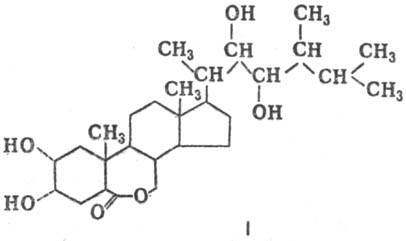 https://www.pora.ru/image/encyclopedia/4/0/9/12409.jpeg