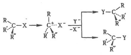 https://www.pora.ru/image/encyclopedia/4/2/3/6423.jpeg