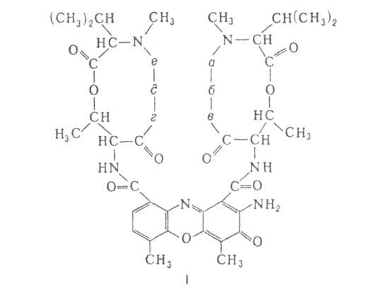 https://www.pora.ru/image/encyclopedia/4/2/4/1424.jpeg