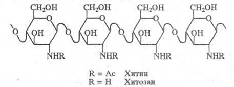 https://www.pora.ru/image/encyclopedia/4/2/7/16427.jpeg