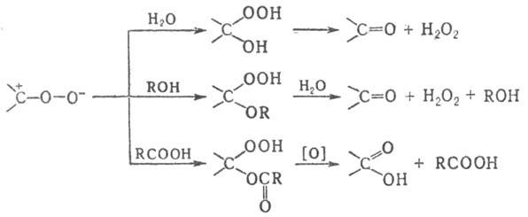 https://www.pora.ru/image/encyclopedia/4/3/0/9430.jpeg