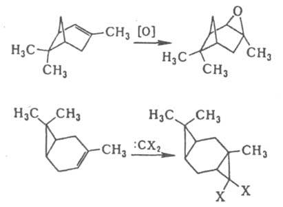 https://www.pora.ru/image/encyclopedia/4/3/2/6432.jpeg