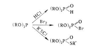 https://www.pora.ru/image/encyclopedia/4/3/7/2437.jpeg