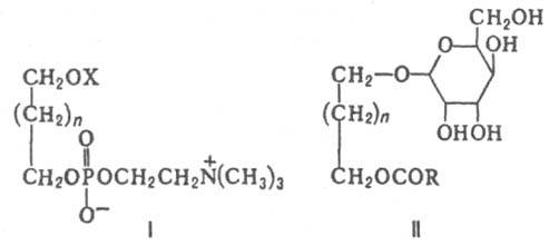 https://www.pora.ru/image/encyclopedia/4/5/8/6458.jpeg