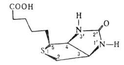 https://www.pora.ru/image/encyclopedia/4/5/9/3459.jpeg