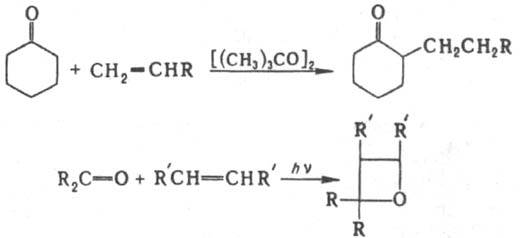 https://www.pora.ru/image/encyclopedia/4/6/2/7462.jpeg