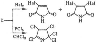 https://www.pora.ru/image/encyclopedia/4/6/4/13464.jpeg