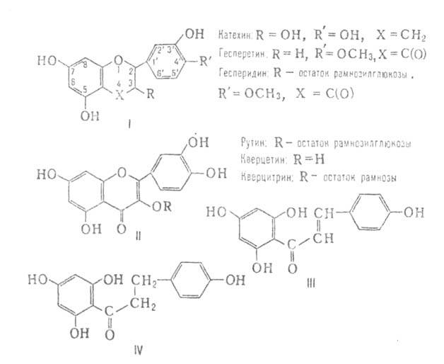 https://www.pora.ru/image/encyclopedia/4/6/4/3464.jpeg