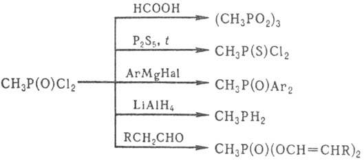 https://www.pora.ru/image/encyclopedia/4/6/7/8467.jpeg