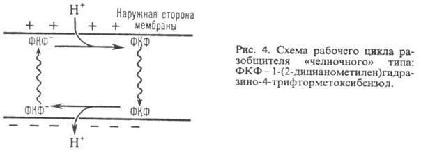 https://www.pora.ru/image/encyclopedia/4/7/6/9476.jpeg