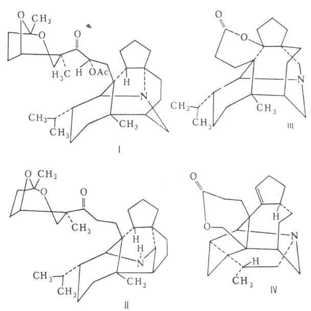 https://www.pora.ru/image/encyclopedia/4/9/1/1491.jpeg