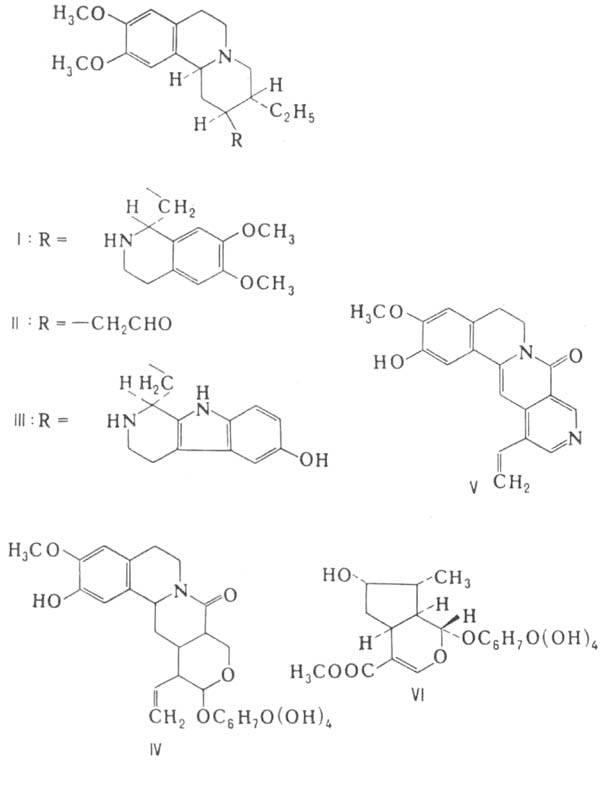 https://www.pora.ru/image/encyclopedia/4/9/5/1495.jpeg