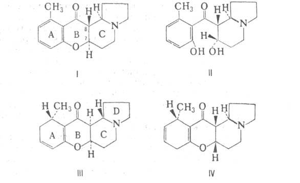 https://www.pora.ru/image/encyclopedia/4/9/9/1499.jpeg