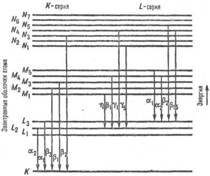 https://www.pora.ru/image/encyclopedia/5/0/2/12502.jpeg