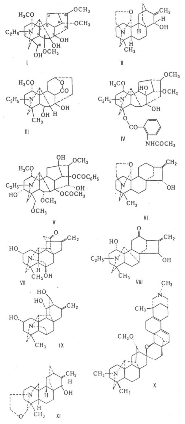 https://www.pora.ru/image/encyclopedia/5/0/3/6503.jpeg