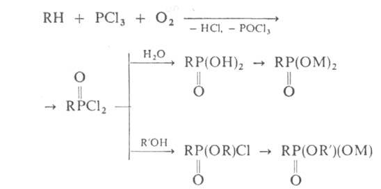 https://www.pora.ru/image/encyclopedia/5/0/6/1506.jpeg