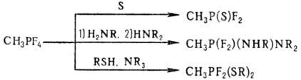 https://www.pora.ru/image/encyclopedia/5/0/8/8508.jpeg