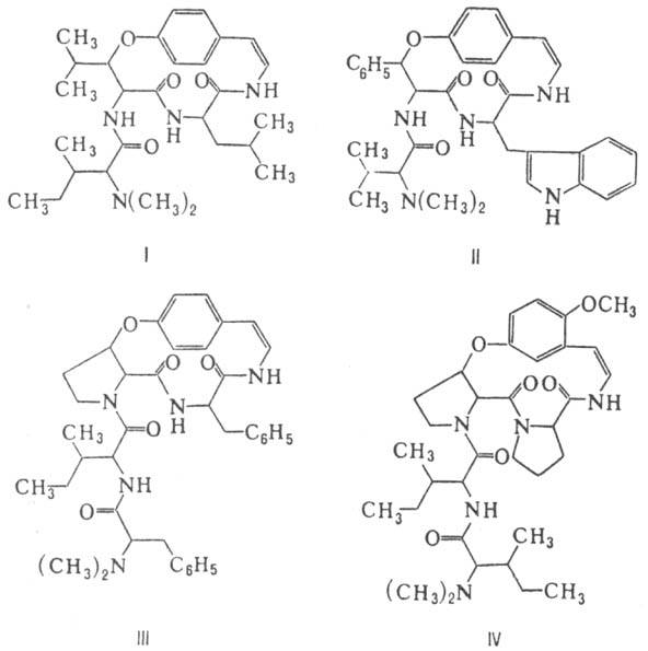 https://www.pora.ru/image/encyclopedia/5/0/9/10509.jpeg