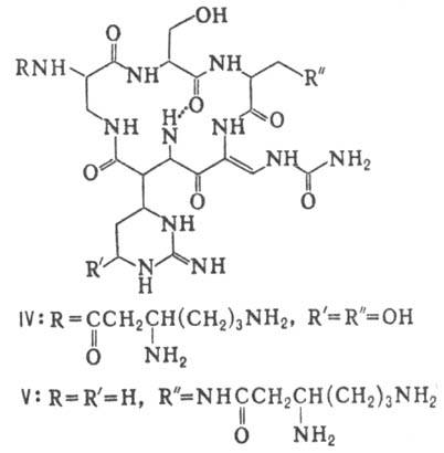 https://www.pora.ru/image/encyclopedia/5/1/4/10514.jpeg