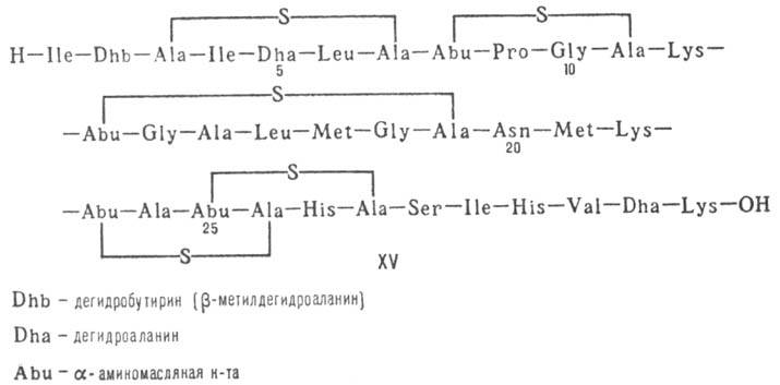 https://www.pora.ru/image/encyclopedia/5/2/0/10520.jpeg