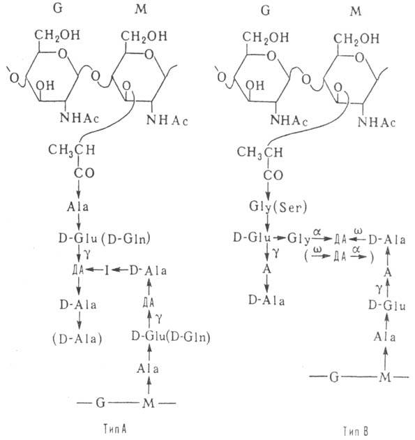 https://www.pora.ru/image/encyclopedia/5/2/2/10522.jpeg